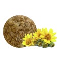 Arnica Dried Flowers 100g